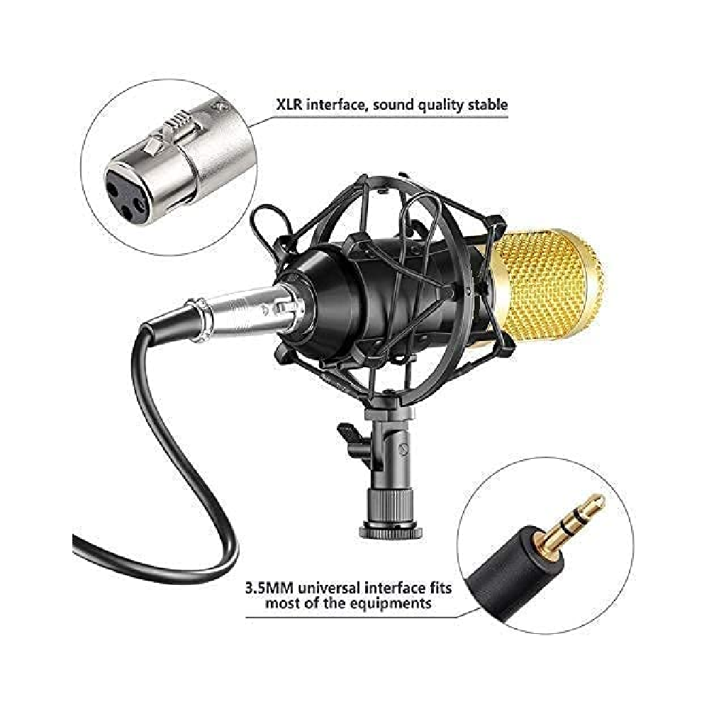 Legendary Live Broadcast Microphone
