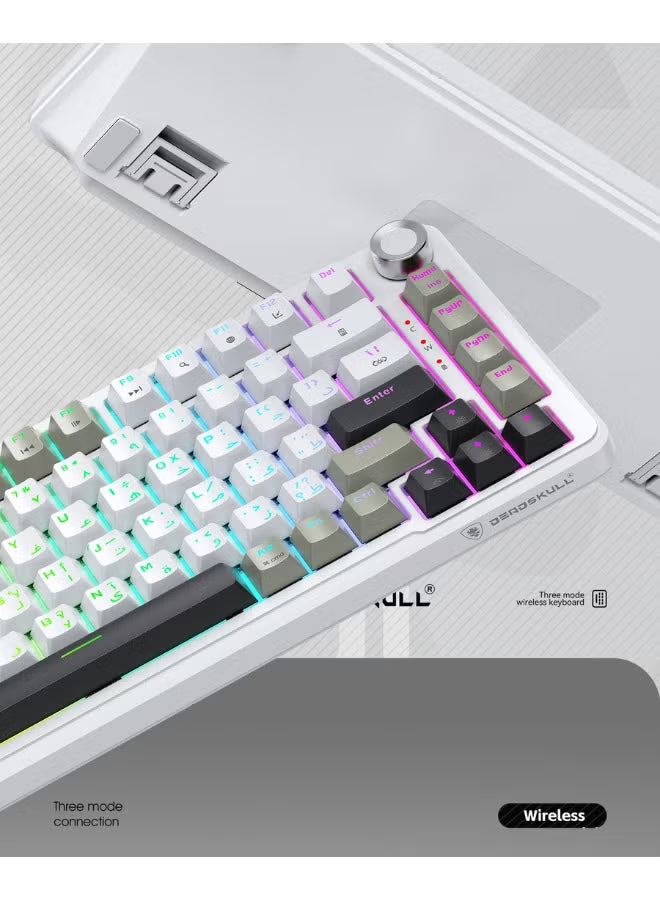 Deadskull Ds-Mk088Pro Wireless Mechanical Gaming Keyboard